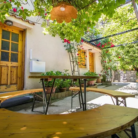 Kyveli By Agroholidays